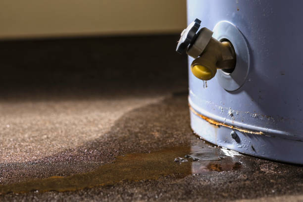 Water damage restoration insurance claims in VA