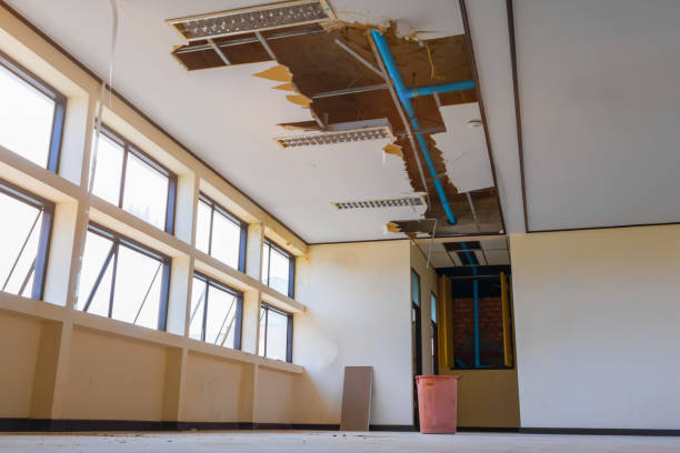 Best 24/7 water damage repair  in Rio, VA
