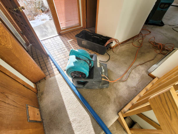Best Flooded house restoration  in Rio, VA