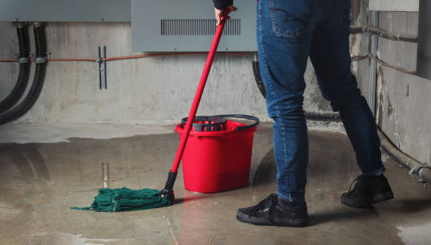 Best Water damage mitigation services  in Rio, VA
