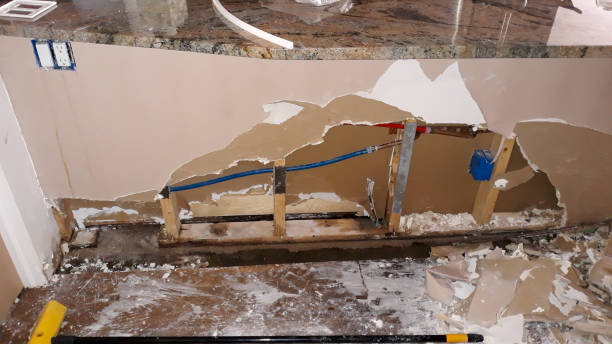 Best Professional water damage repair  in Rio, VA