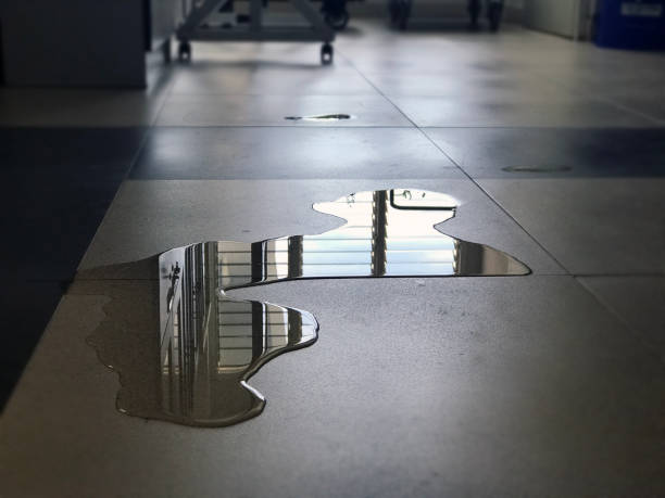 Best Water damage restoration insurance claims  in Rio, VA