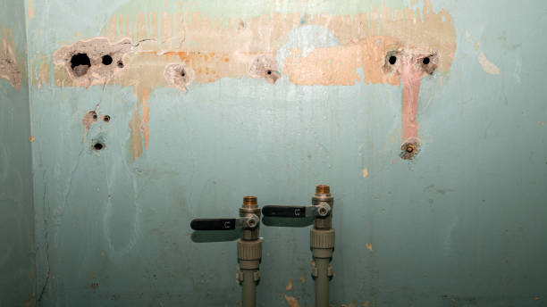 Best Water damage restoration specialists  in Rio, VA