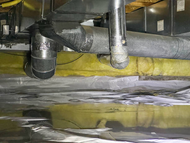 Best Flood restoration services  in Rio, VA