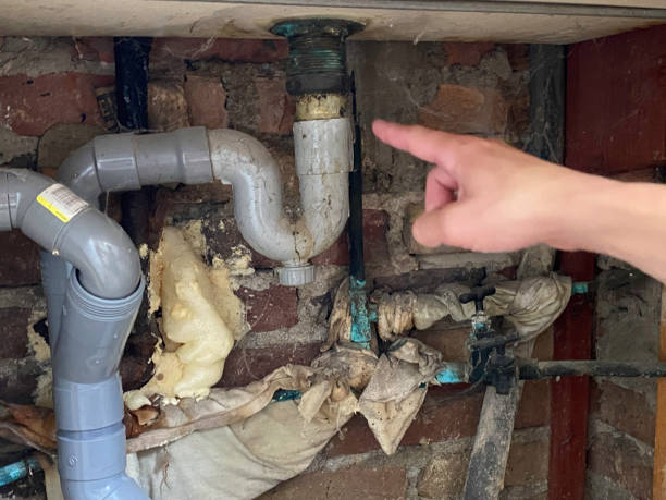 Best Mold removal after water damage  in Rio, VA