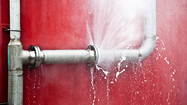 Best Local water damage restoration  in Rio, VA